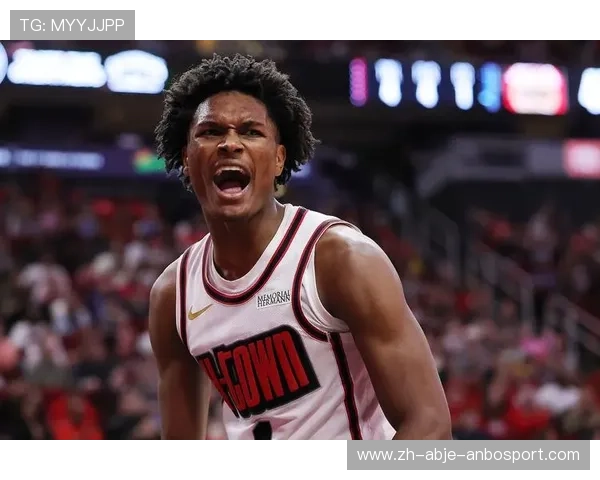 火箭队16人名单详解及核心球员介绍